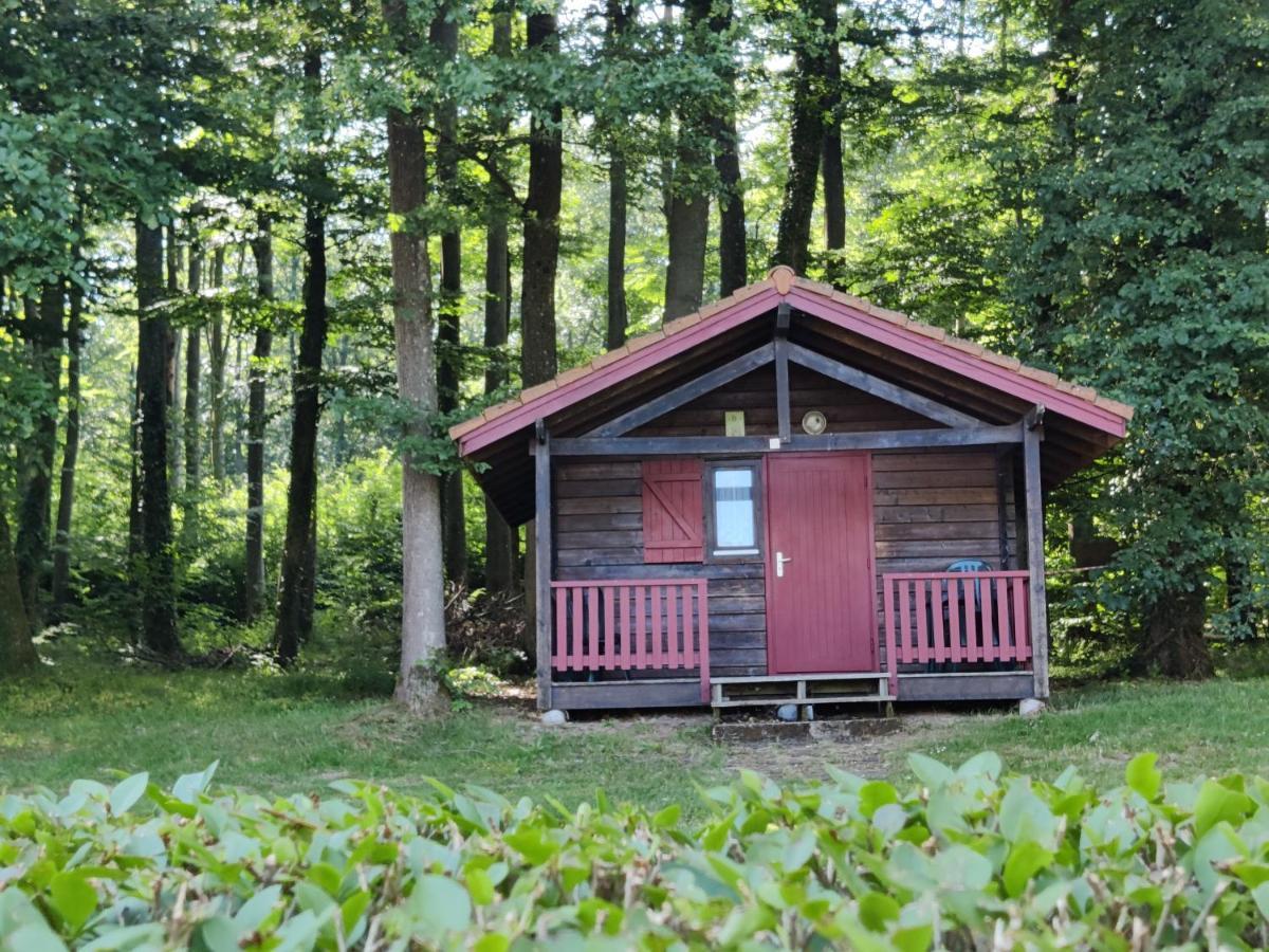 Camping Les Vosges Du Nord Oberbronn Dış mekan fotoğraf