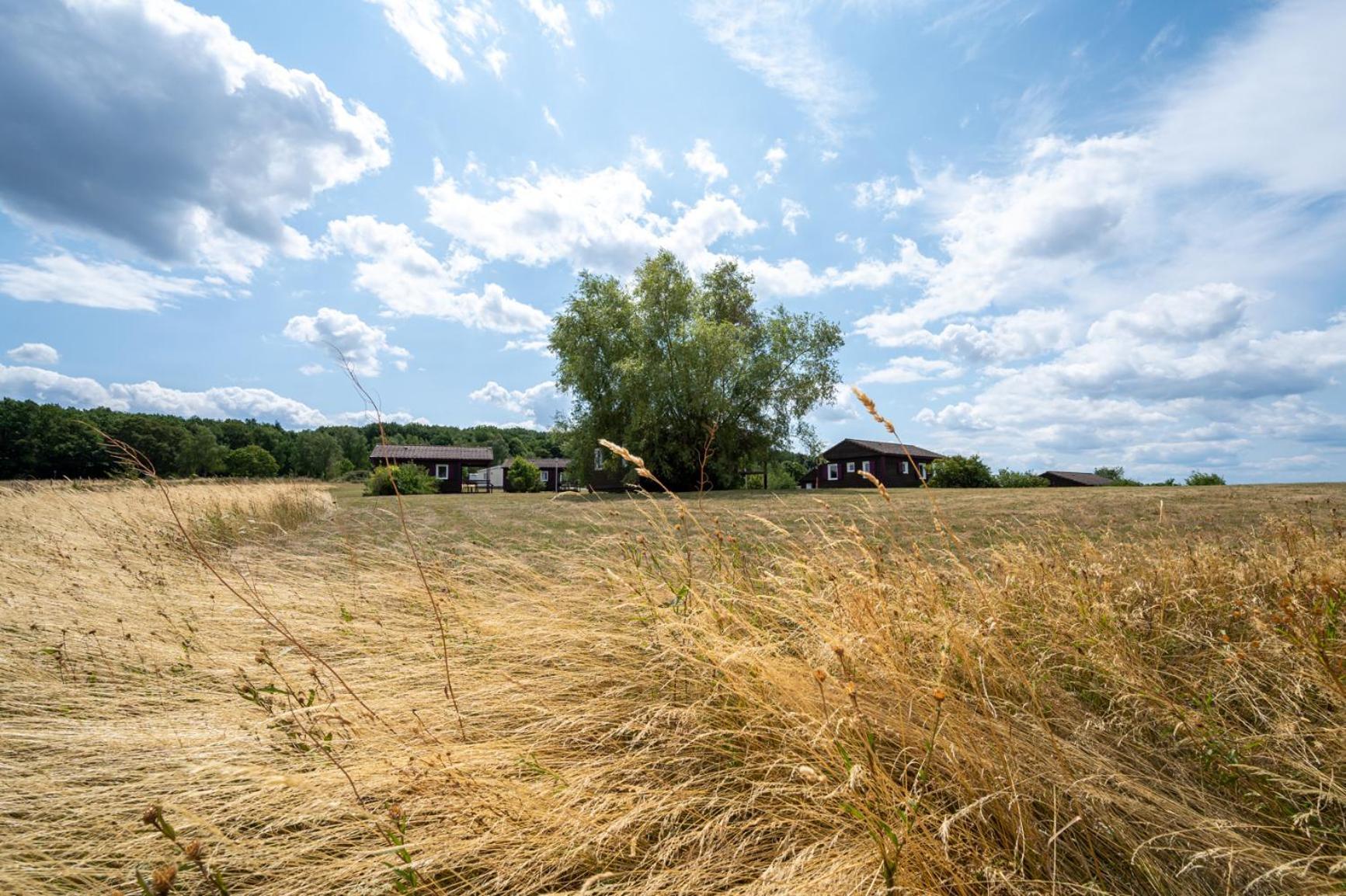 Camping Les Vosges Du Nord Oberbronn Dış mekan fotoğraf